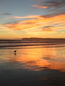 Sunset at Coronado 
